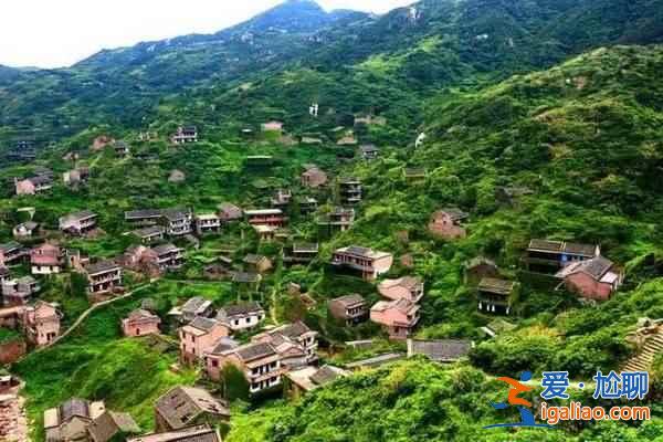 舟山村民遗弃小岛20年，小岛自然生长恍如仙境？