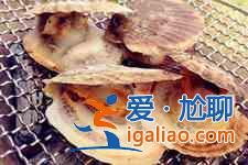 扇贝的做法大全？