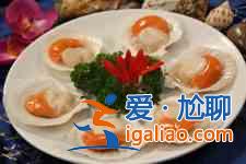扇贝的做法大全？