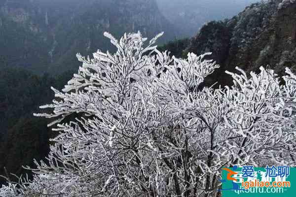 2022南宁大明山雾凇观赏攻略 附最佳观赏点推荐？