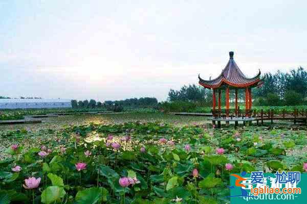 2021泗洪洪泽湖湿地加强疫情防控通知？