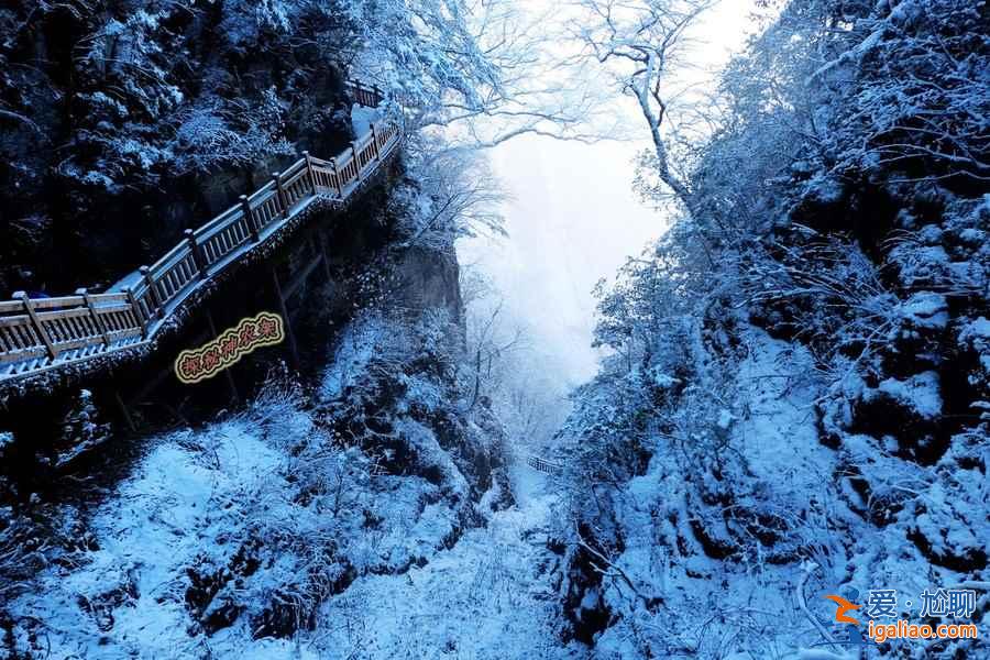 冬天适合去神农架吗，冬天去神农架徒步怎么样？