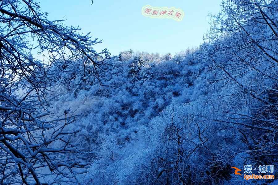 冬天适合去神农架吗，冬天去神农架徒步怎么样？