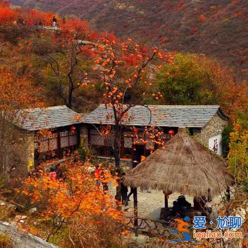 2018坡峰岭什么时候看红叶,坡峰岭红叶最佳时间? 2018坡峰岭什么时候看红叶,坡峰岭红叶最佳时间?