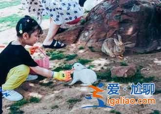 2017春天去哪里看杏花?盘点全国杏花观赏地? 2017春天去哪里看杏花?盘点全国杏花观赏地?