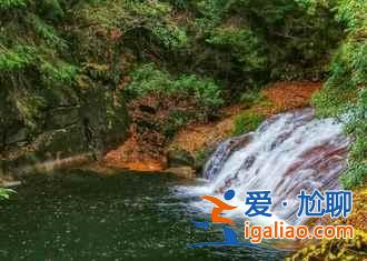 光雾山的红叶，红的非常震撼！？