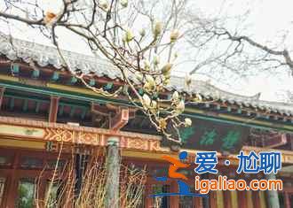 【济南红叶谷怎么走】济南红叶谷在哪,2018济南红叶谷门票? 【济南红叶谷怎么走】济南红叶谷在哪,2018济南红叶谷门票?