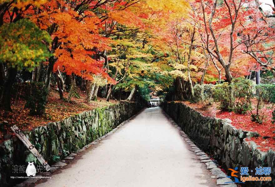 【京都红叶景点】2018京都红叶时间及地点？