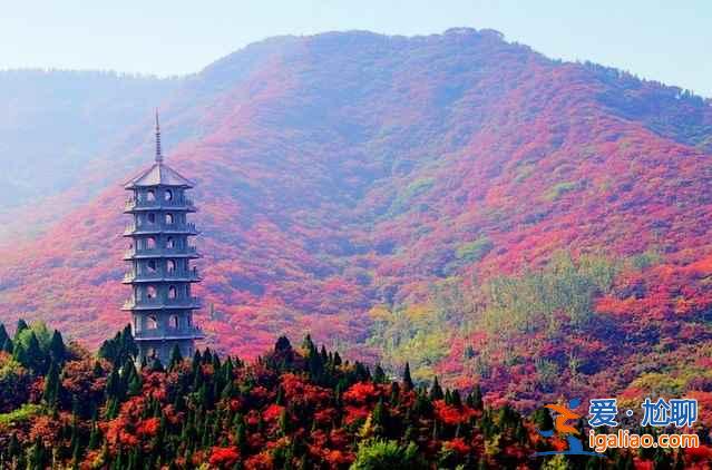 【济南红叶谷怎么走】济南红叶谷在哪,2018济南红叶谷门票? 【济南红叶谷怎么走】济南红叶谷在哪,2018济南红叶谷门票?