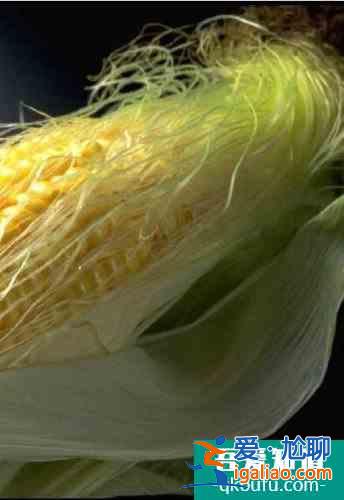 简单介绍玉米须的功效与作用？
