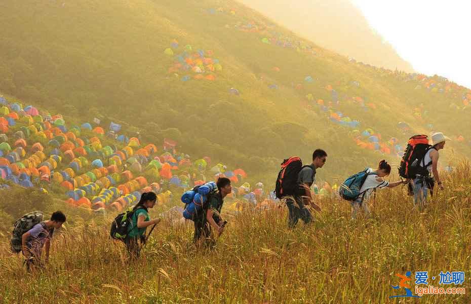 中国最美的三大高山草甸：户外露营好去处？