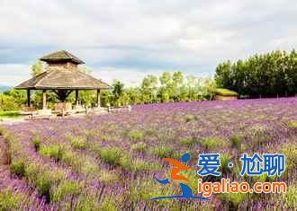 2018北海道红叶观赏景点及时间，北海道最美秋季美景？