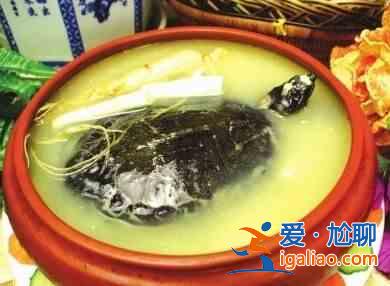 青蒿鳖甲汤？