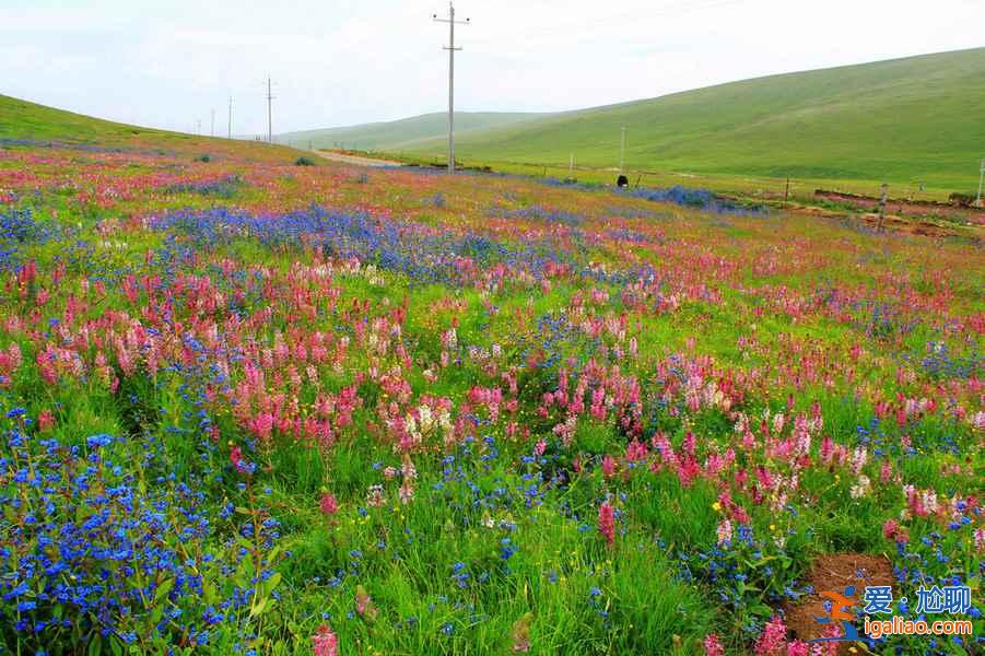 【成都到青海湖自驾游】2018成都到青海湖路线—花费—装备? 【成都到青海湖自驾游】2018成都到青海湖路线—花费—装备?