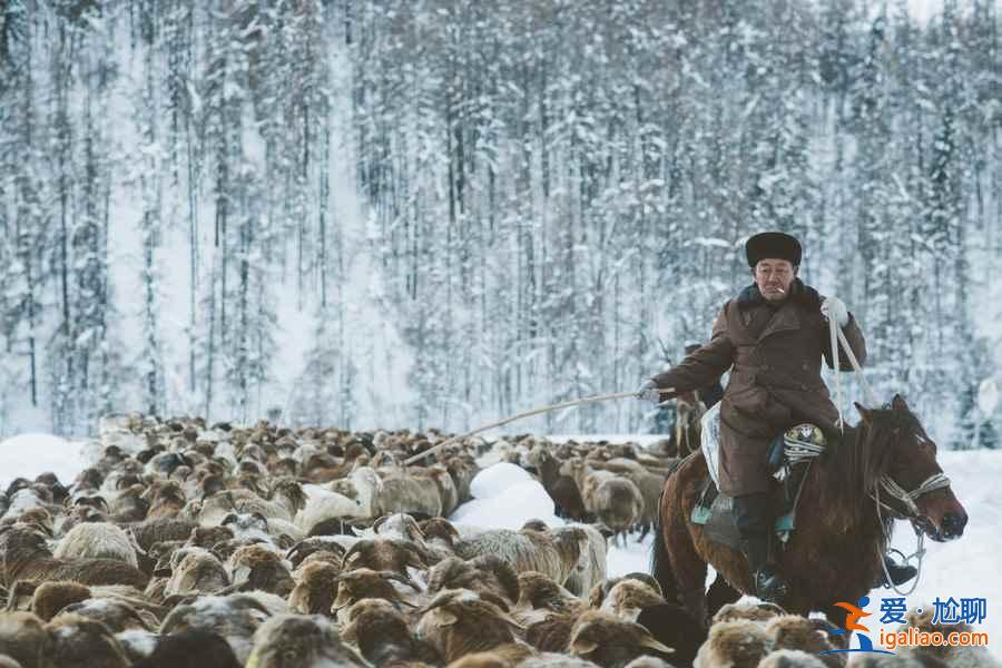 中国雪景最美的7个地方，美哭了世界！？