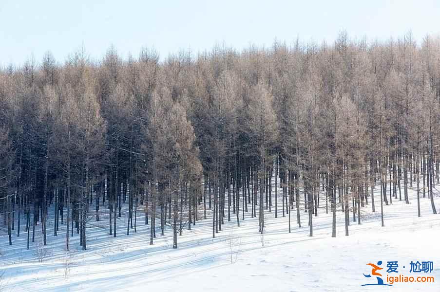 中国雪景最美的7个地方，美哭了世界！？
