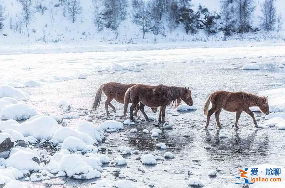 中国雪景最美的7个地方，美哭了世界！？