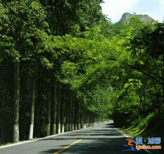 北京周边自驾游：四五月自驾京郊公路最合适！？