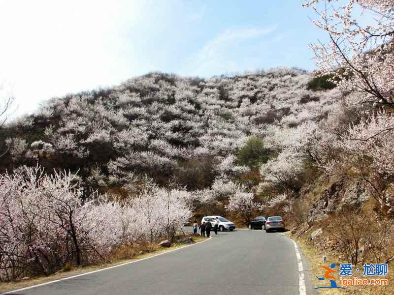 北京周边自驾游：四五月自驾京郊公路最合适！？