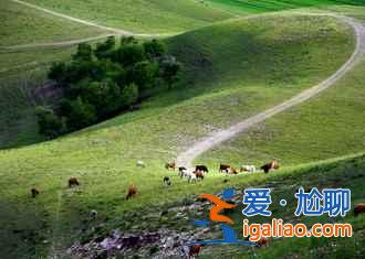 坝上在哪里，北京去坝上草原自驾路线？