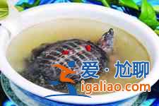 甲鱼汤的做法？