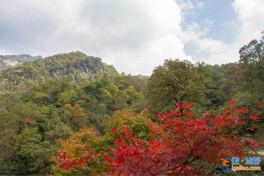 光雾山几月看红叶，光雾山国庆有红叶吗？