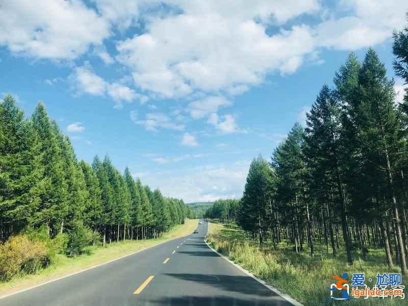北京到塞罕坝自驾路线，北京到塞罕坝多少公里？