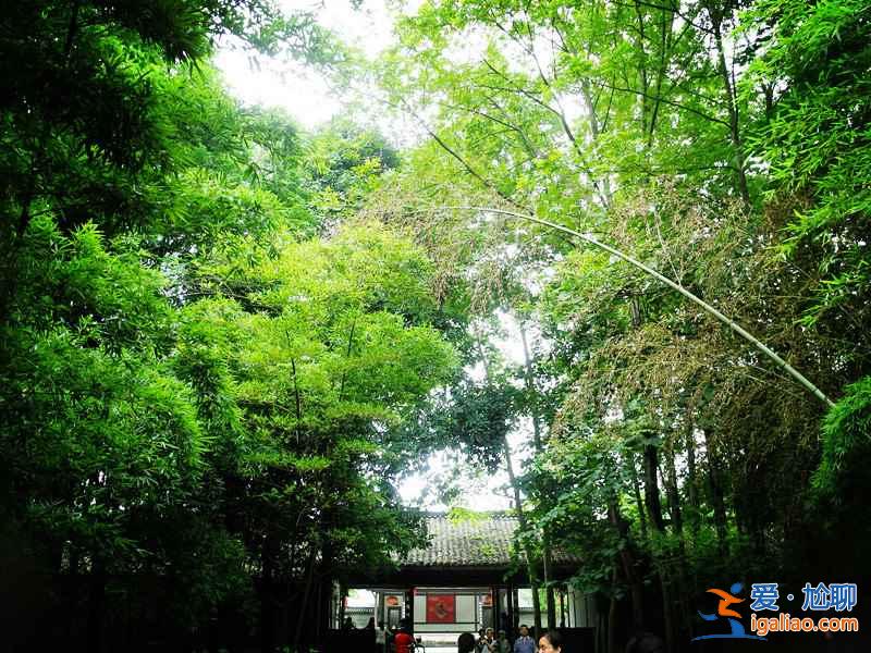 成都到新津多少公里，成都到新津自驾路线？