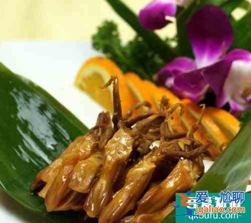 美食达人分享：鲁菜的代表菜是什么？