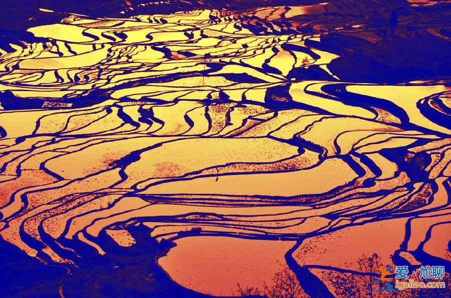 国内3月景色最美的地方，3月去哪里旅游好？