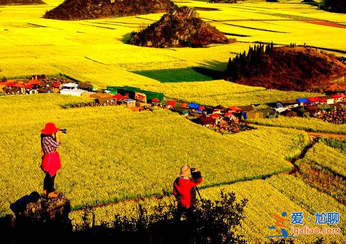 国内3月景色最美的地方，3月去哪里旅游好？