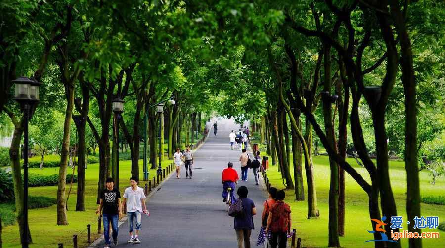 国内3月景色最美的地方，3月去哪里旅游好？