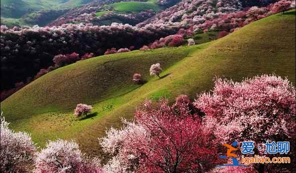 2017新疆杏花沟旅游,杏花沟旅游攻略,杏花沟旅游攻略？
