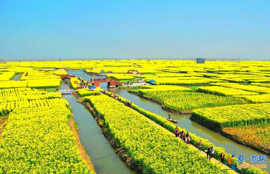 国内3月景色最美的地方，3月去哪里旅游好？