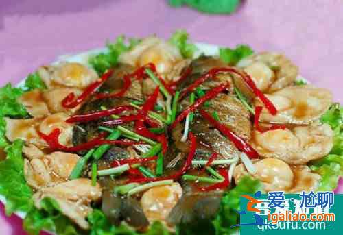 美食达人推介六款美味鲁菜？
