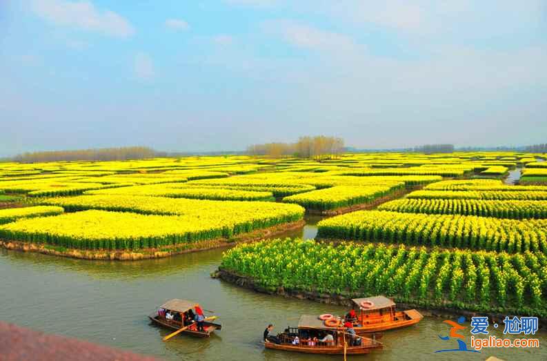 国内3月景色最美的地方，3月去哪里旅游好？
