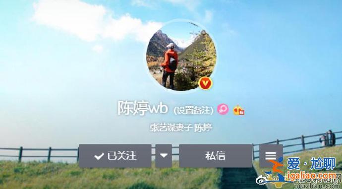张艺谋妻子陈婷取消微博认证是怎么回事？陈婷是第几任妻子？