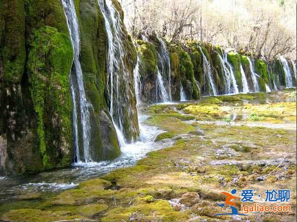 春天去九寨沟怎么样，九寨沟春天景色？