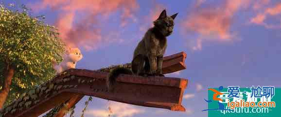 《猫与桃花源》再曝冒险版海报 只为少年梦想？