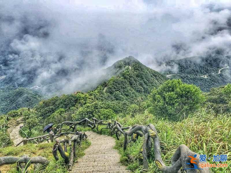 深圳梧桐山徒步怎么走，深圳梧桐山经典徒步路线，深圳梧桐山徒步攻略？