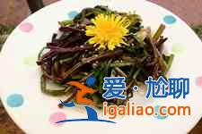 婆婆丁的吃法？