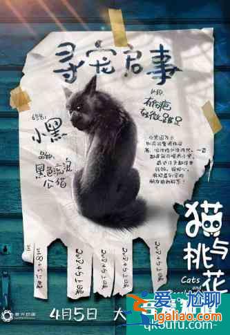 电影《猫与桃花源》“寻宠”版海报出炉，形象可爱萌翻猫圈？