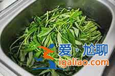 虾酱空心菜的做法？