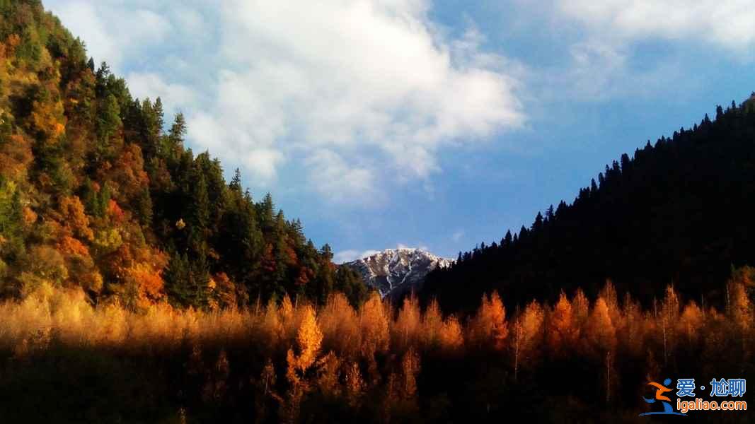 四川十大最美的秋色，看美女赏秋色？