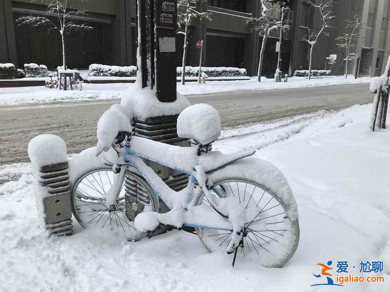 何必苦苦等下雪，去世界上降雪量最大的城市旅行玩雪！？