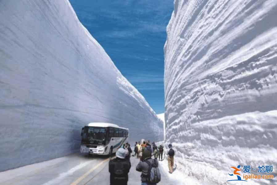 何必苦苦等下雪，去世界上降雪量最大的城市旅行玩雪！？