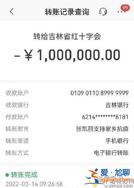张凯丽低调捐款100万支援家乡吉林抗疫，正能量满满