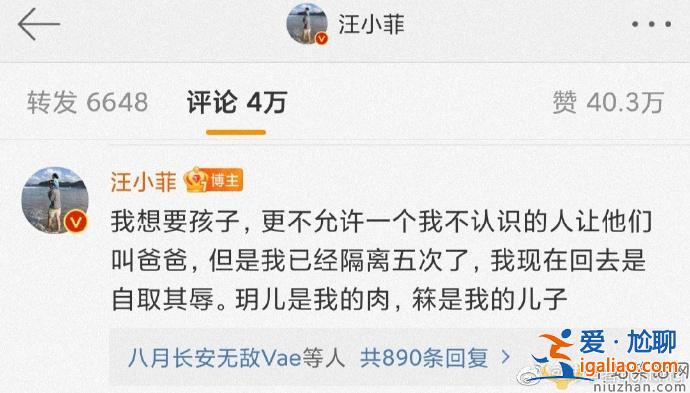 小S频繁激怒汪小菲，汪小菲霸气回怼！网友：到底退没退圈？