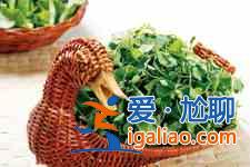 金花菜的做法大全？