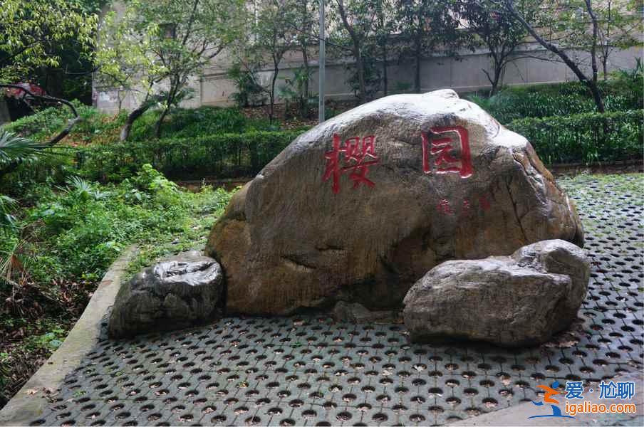 春天适合去哪里旅游，春天去哪里旅游好，春天旅游攻略？